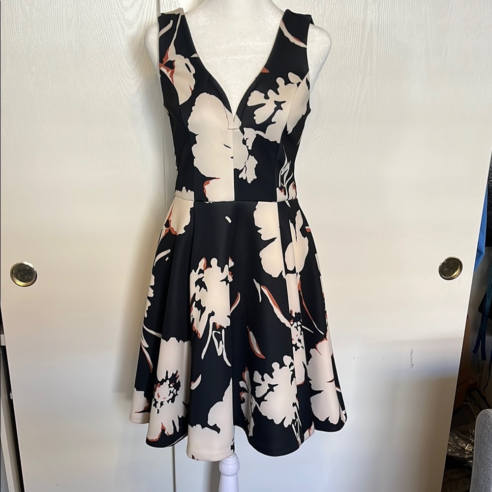 Anthropologie Black Floral Fit and Flare Mini Dress